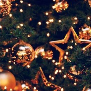 Meet your Posher, Lacey